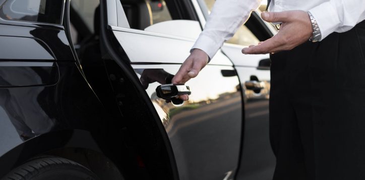 driver-with-opened-car-door-2