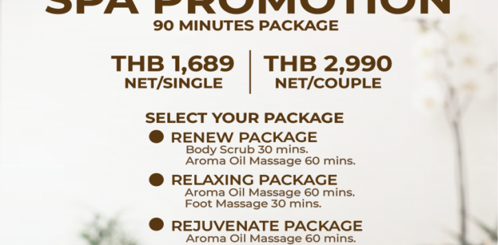 spa-promotion-90-min-revised-02-2